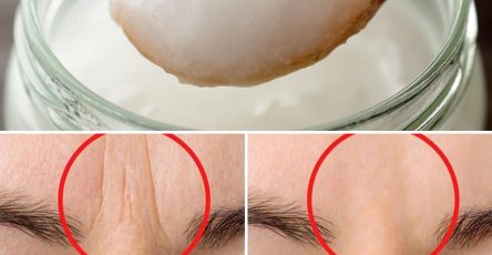 448772914 902989765198932 8696026182123048406 n