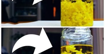 462211988 122178253430094163 5408692311429518757 n