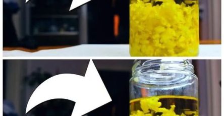 462211988 122178253430094163 5408692311429518757 n