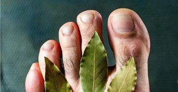 462239052 122178285380094163 3919490814520490400 n