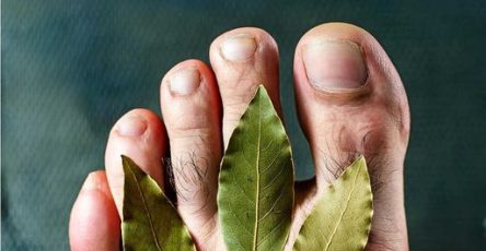 462239052 122178285380094163 3919490814520490400 n