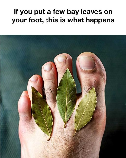 462239052 122178285380094163 3919490814520490400 n