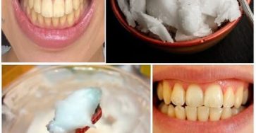 470235206 517575397987937 8965796578851005360 n