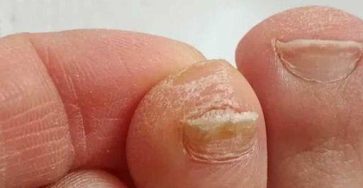 471948565 2303409210044007 3610193365602804226 n