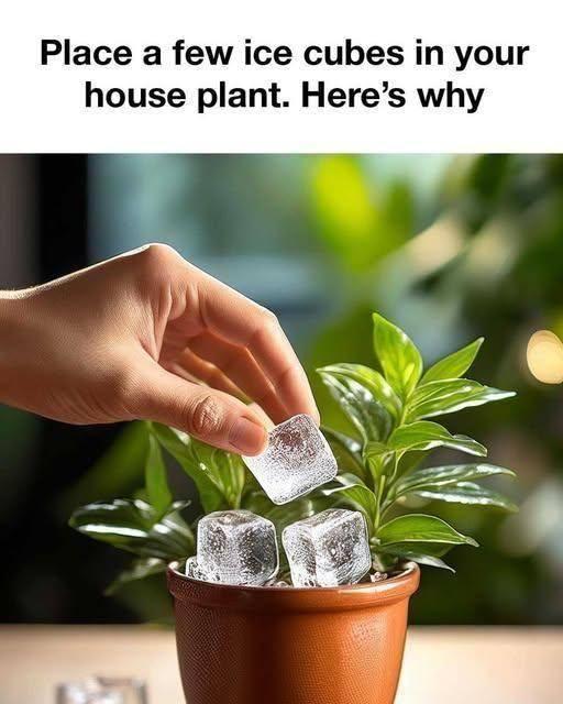 474386151 122200073228082245 6843711949097872 n