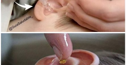 475155819 940615254826004 8374341078986655111 n