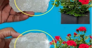 476961830 122130088172585673 4921380123095161214 n 63