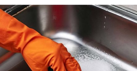 484068169 1073119108192802 315456453371747557 n