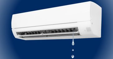 487733404 1131949988943357 9103088988719603133 n