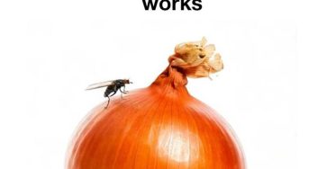 490459704 1198233948756231 5734115824807630353 n