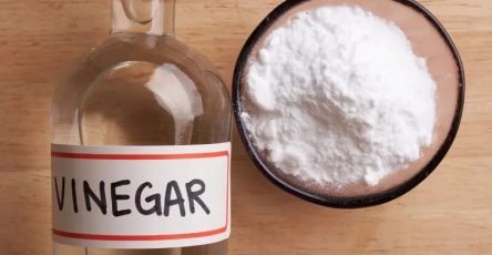 491257216 1207443714081077 2915936529125059693 n