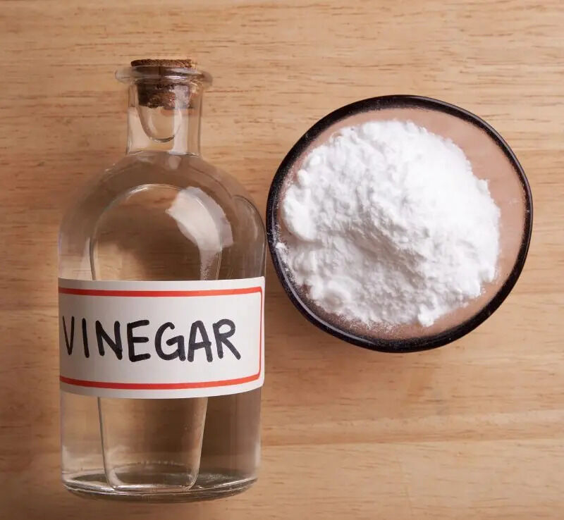 491257216 1207443714081077 2915936529125059693 n