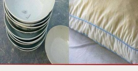 493026234 1131576582346282 636521935723121411 n