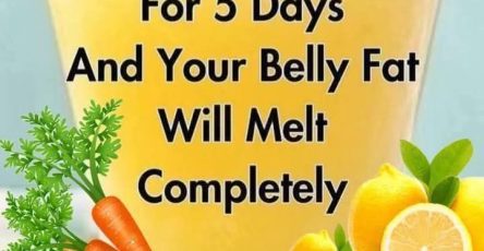 493312439 29159647437011946 2229915761789511078 n