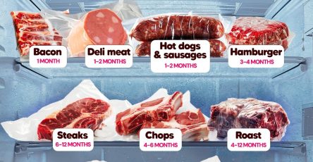 493600245 1116239957214500 1178822268359814411 n