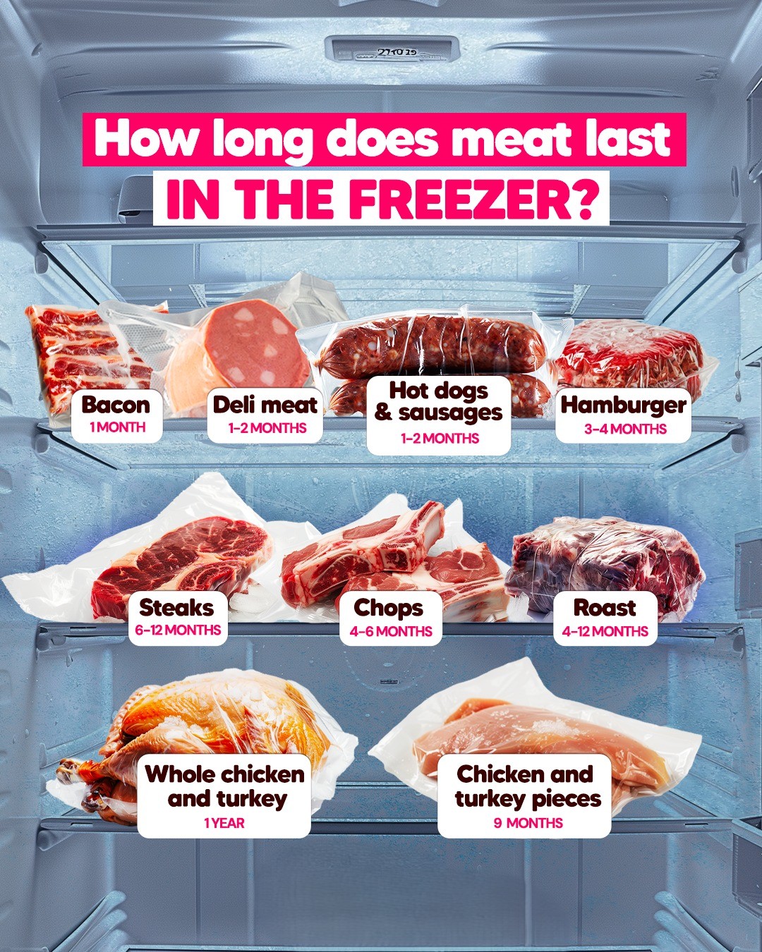 493600245 1116239957214500 1178822268359814411 n