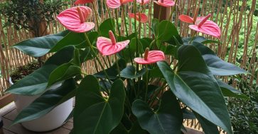 494090615 122232116816066837 4236181424764298388 n