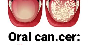 494713112 1247544096764287 543021080849856255 n