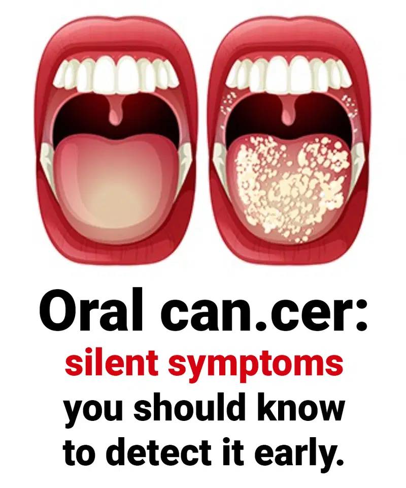 494713112 1247544096764287 543021080849856255 n