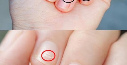 494958992 122226030860060745 2322033556778846917 n