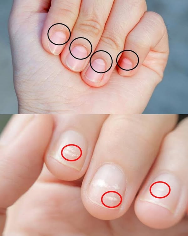 494958992 122226030860060745 2322033556778846917 n