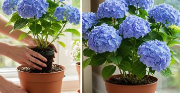 494984127 122233440398066837 6909193854979602977 n