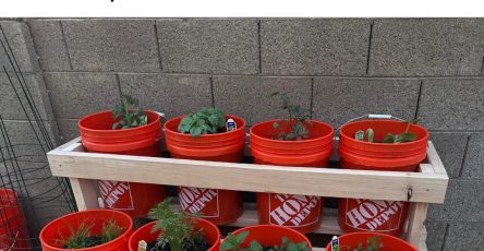 495003928 1121117536723530 8227763452909566533 n