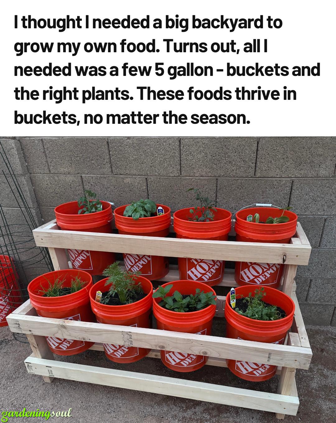 495003928 1121117536723530 8227763452909566533 n