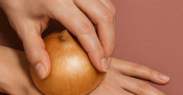 495041724 1215166467062979 5247370411503256453 n