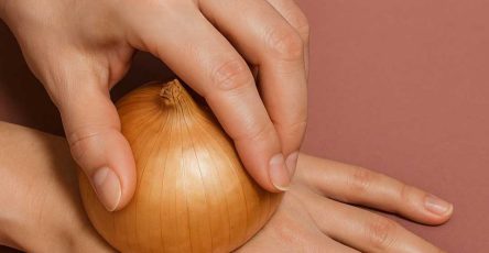 495041724 1215166467062979 5247370411503256453 n