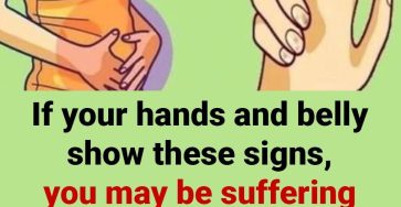 495091379 1249409829911047 5477142887565995366 n