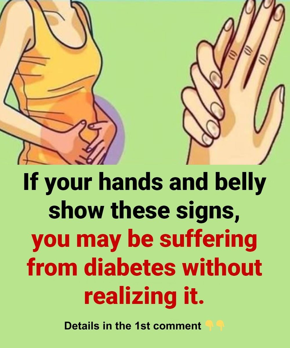 495091379 1249409829911047 5477142887565995366 n