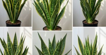 495178889 122234373140066837 5451664360791923420 n