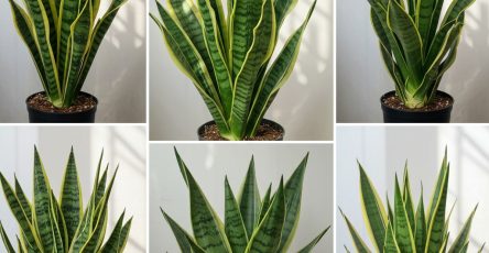 495178889 122234373140066837 5451664360791923420 n