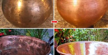 495257669 122279427764066967 4477603702604657366 n