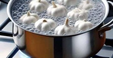 495435056 122226937574060745 5962421262925638278 n