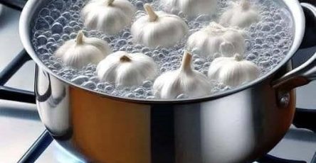 495435056 122226937574060745 5962421262925638278 n