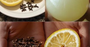 495475857 1107339684742925 4227492621042957322 n