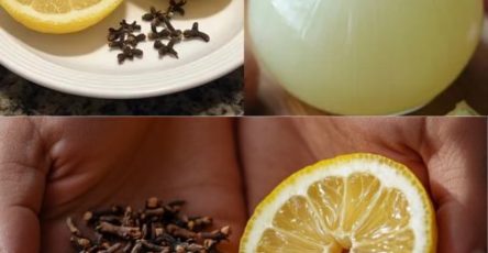 495475857 1107339684742925 4227492621042957322 n