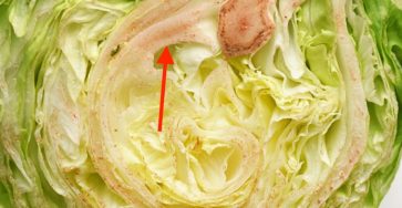 496301577 1124116856426810 979632047134824895 n