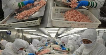 496486732 1220323746423427 3415170992259086369 n