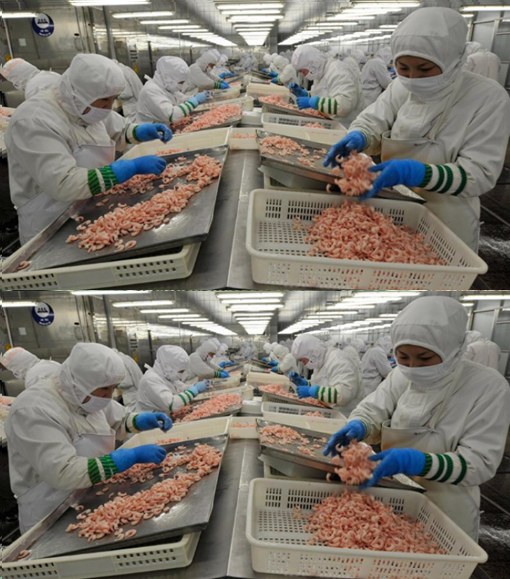 496486732 1220323746423427 3415170992259086369 n