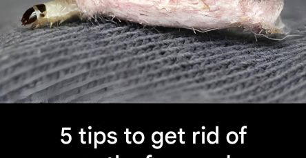 Screenshot 2024 08 02 23 02 13 803 com.miui .notes edit 34