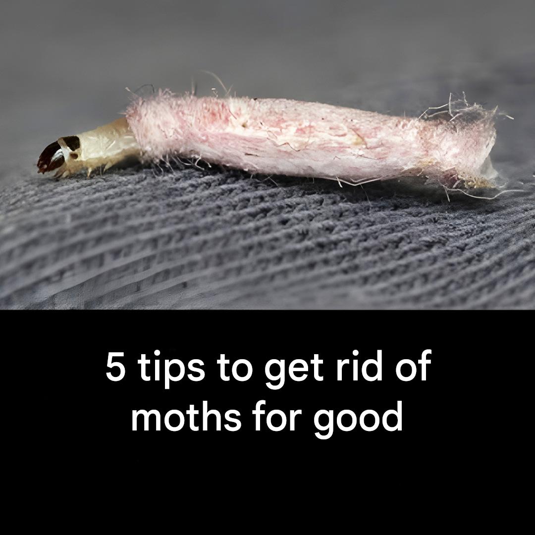 Screenshot 2024 08 02 23 02 13 803 com.miui .notes edit 34