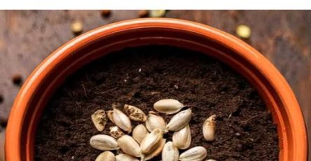 Screenshot 2024 08 02 23 02 13 803 com.miui .notes edit