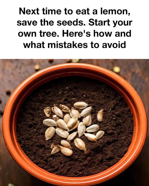 Screenshot 2024 08 02 23 02 13 803 com.miui .notes edit