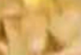 Screenshot 2025 03 28 12 38 56 492 com.brave .browser edit