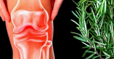 Screenshot 2025 04 02 20 23 11 713 com.brave .browser edit