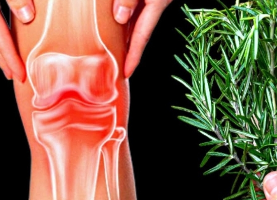 Screenshot 2025 04 02 20 23 11 713 com.brave .browser edit