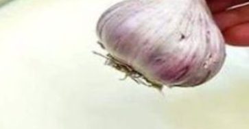 Screenshot 2025 04 10 20 38 21 590 com.brave .browser edit